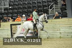 24BUCK_01291 proof