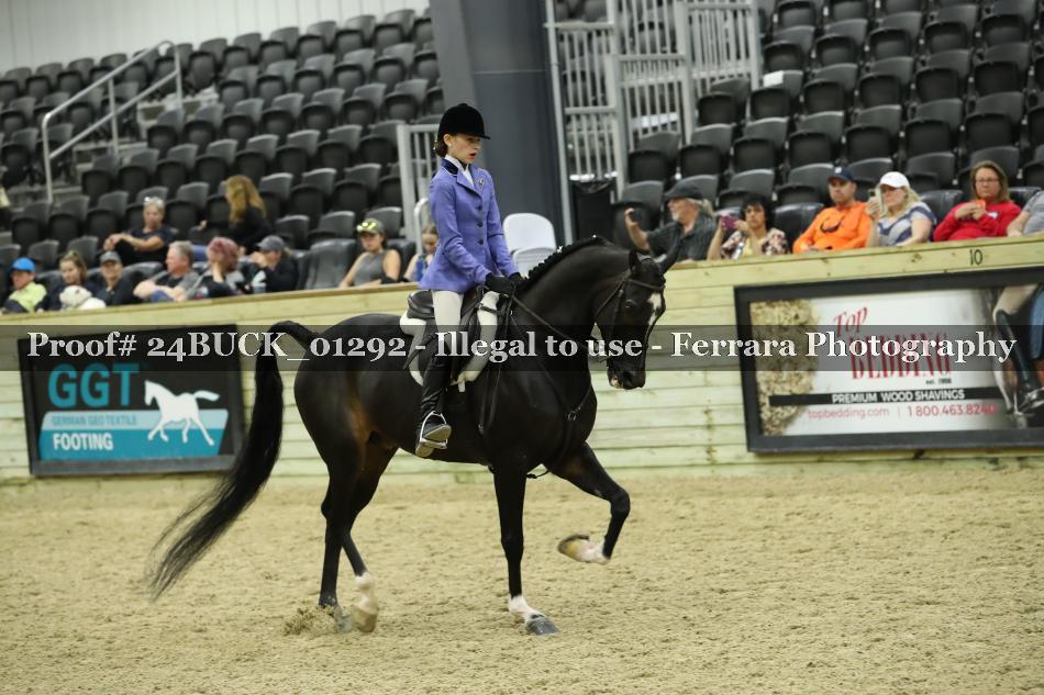 Proof 24BUCK_01292