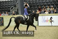 24BUCK_01293 proof