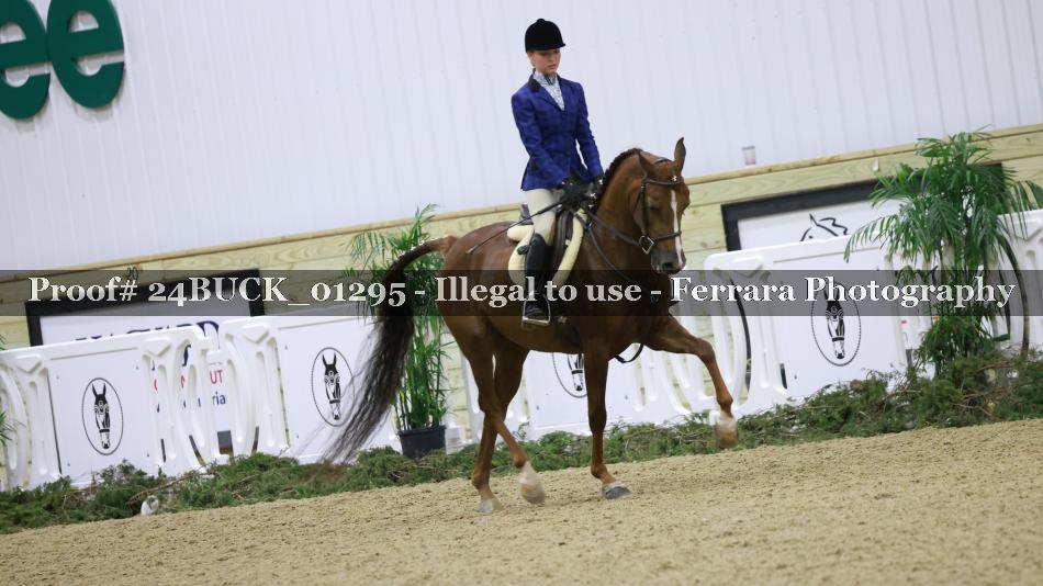 Proof 24BUCK_01295