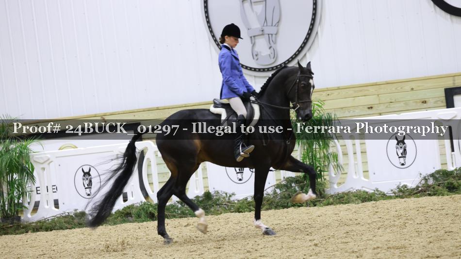 Proof 24BUCK_01297