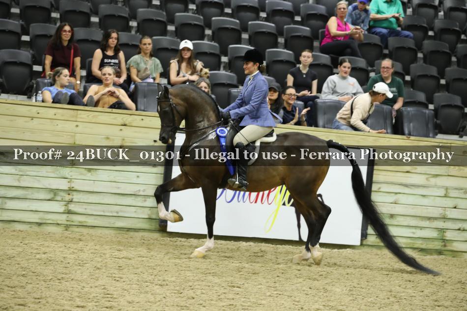 Proof 24BUCK_01301