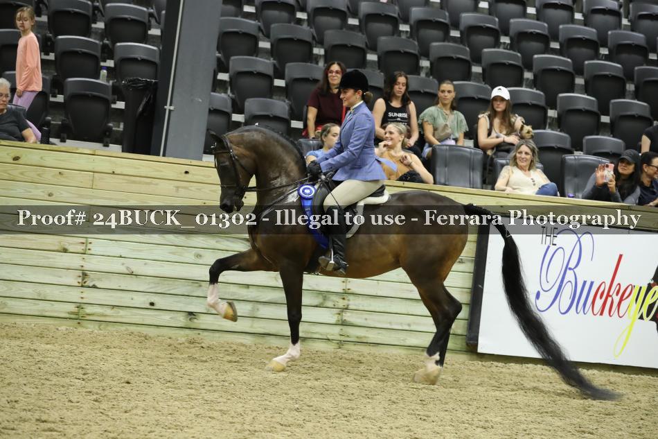 Proof 24BUCK_01302