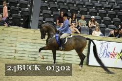 24BUCK_01302 proof