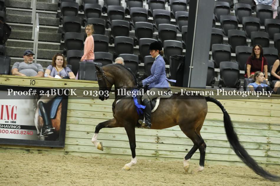 Proof 24BUCK_01303