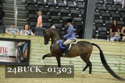 24BUCK_01303 proof