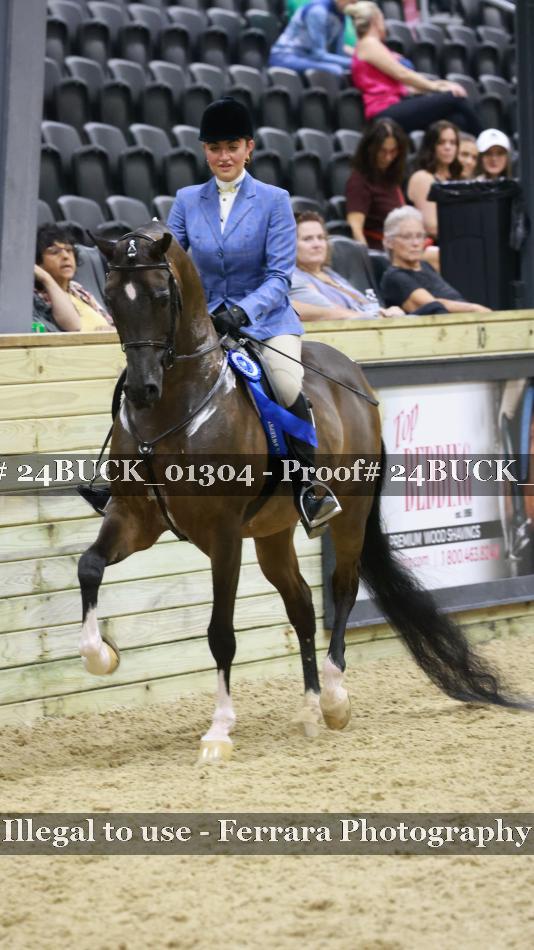 Proof 24BUCK_01304