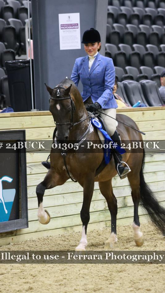 Proof 24BUCK_01305