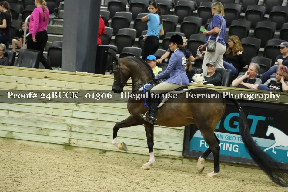 Proof 24BUCK_01306