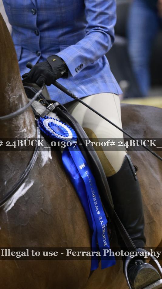 Proof 24BUCK_01307