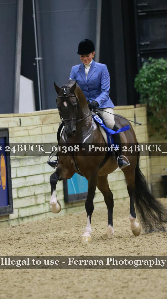 Proof 24BUCK_01308
