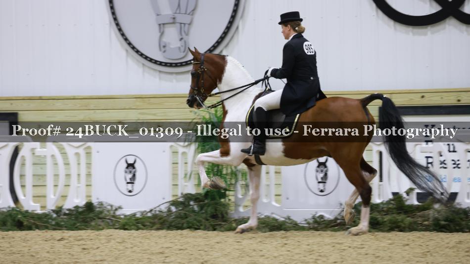 Proof 24BUCK_01309