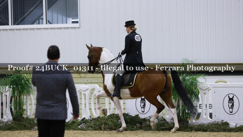Proof 24BUCK_01311