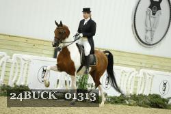 24BUCK_01313 proof