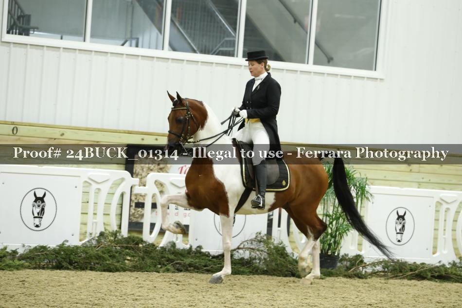 Proof 24BUCK_01314