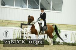 24BUCK_01314 proof