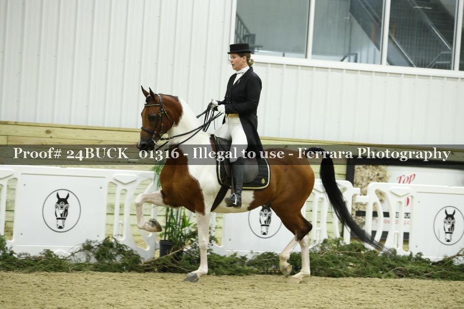 Proof 24BUCK_01316