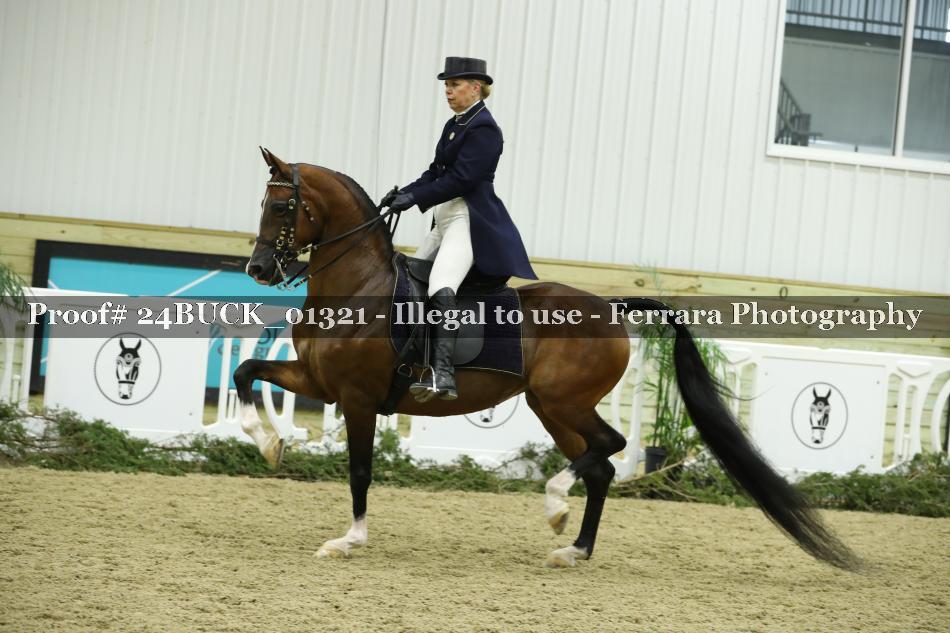 Proof 24BUCK_01321