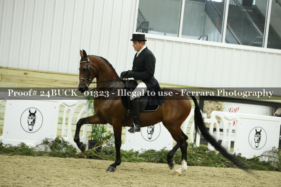 Proof 24BUCK_01323