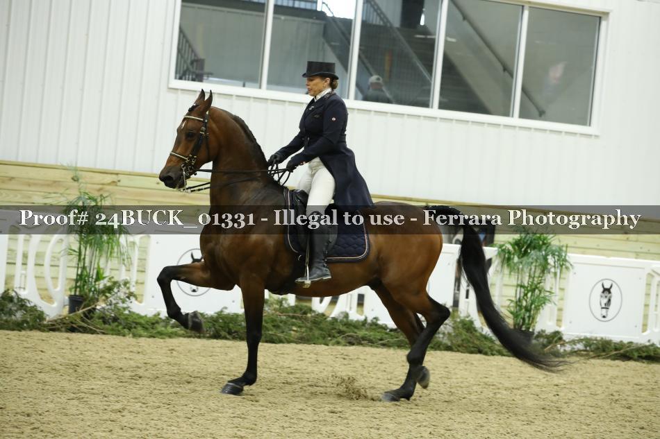 Proof 24BUCK_01331