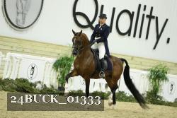 24BUCK_01333 proof