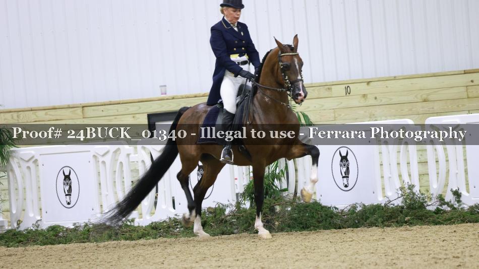 Proof 24BUCK_01340
