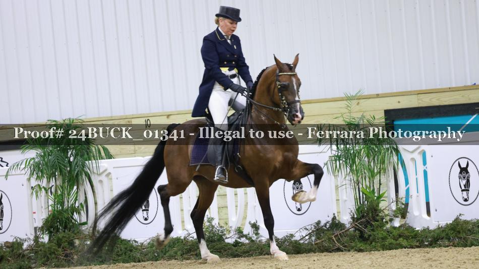 Proof 24BUCK_01341