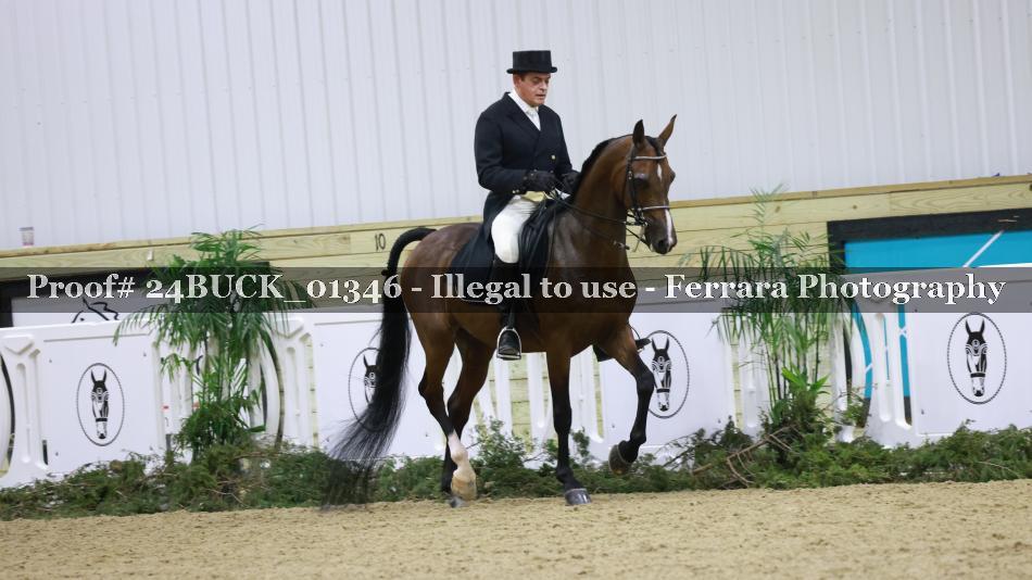 Proof 24BUCK_01346