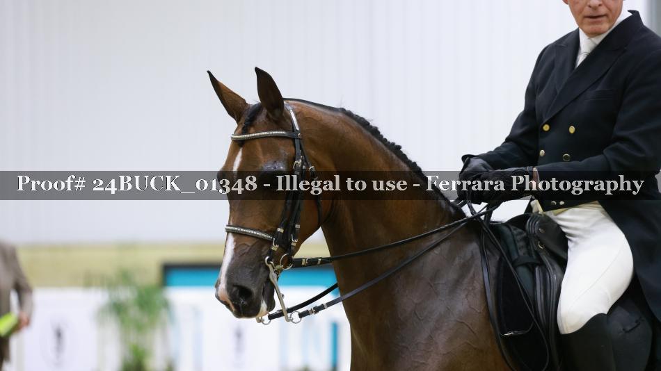 Proof 24BUCK_01348