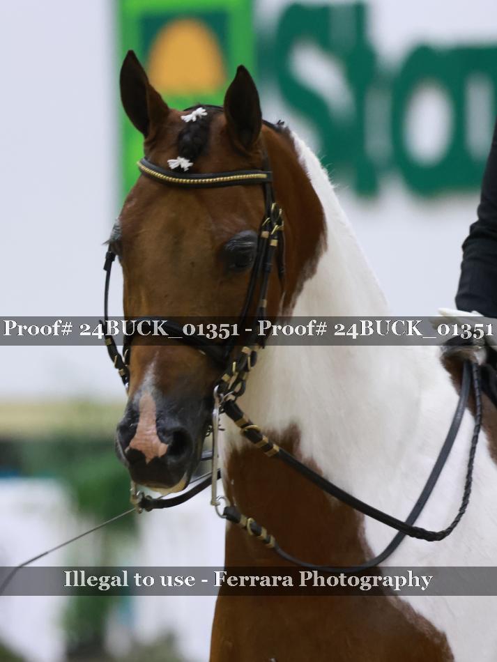 Proof 24BUCK_01351