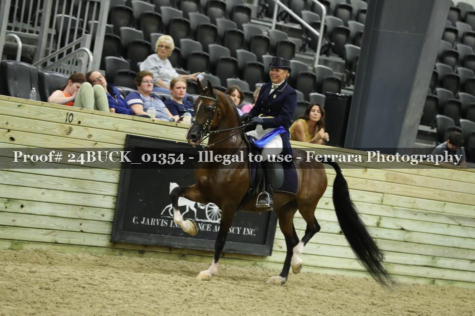 Proof 24BUCK_01354