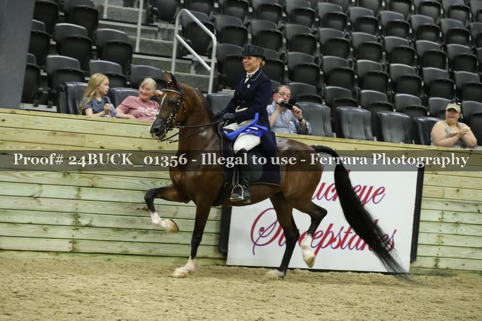 Proof 24BUCK_01356