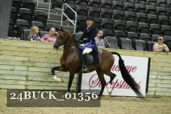 24BUCK_01356 proof