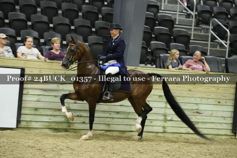 Proof 24BUCK_01357