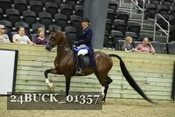 24BUCK_01357 proof