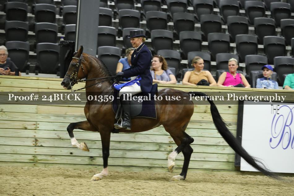 Proof 24BUCK_01359