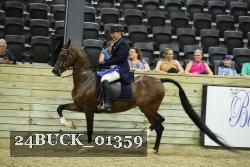 24BUCK_01359 proof