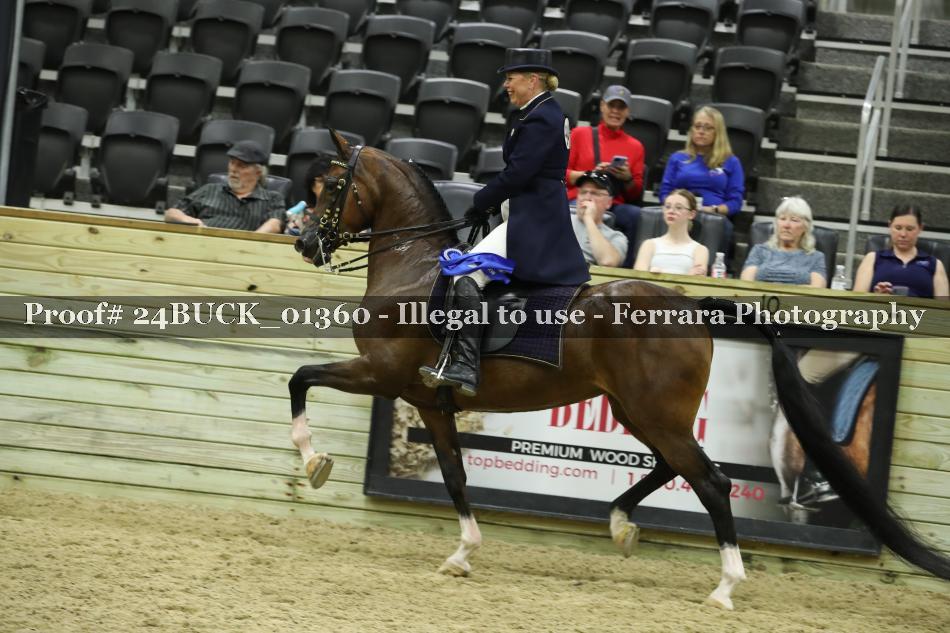 Proof 24BUCK_01360