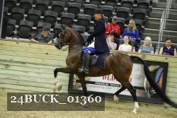 24BUCK_01360 proof