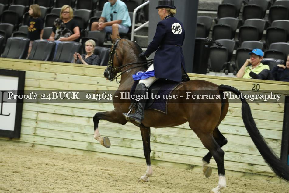 Proof 24BUCK_01363