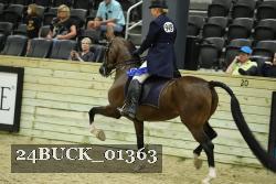 24BUCK_01363 proof