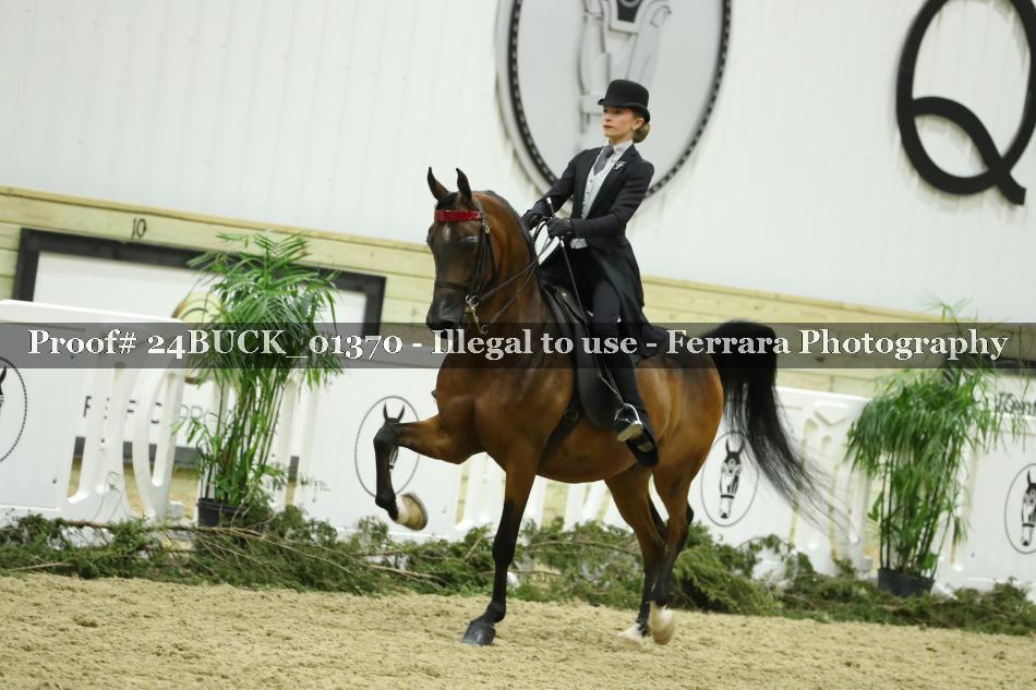 Proof 24BUCK_01370