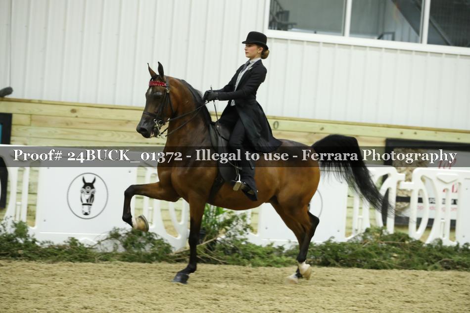 Proof 24BUCK_01372