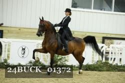 24BUCK_01372 proof