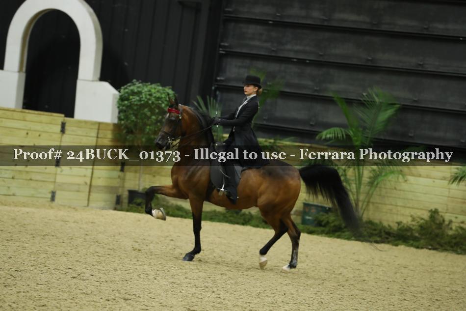 Proof 24BUCK_01373