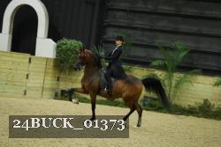 24BUCK_01373 proof