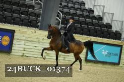 24BUCK_01374 proof