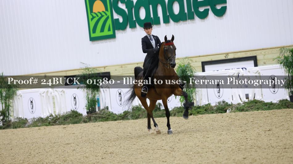 Proof 24BUCK_01380