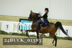24BUCK_01383 proof