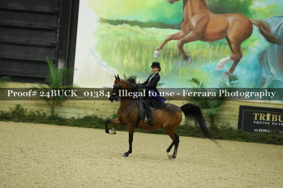Proof 24BUCK_01384